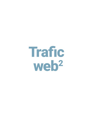 FR-FI-Web-traffic-Header alternate text for this image