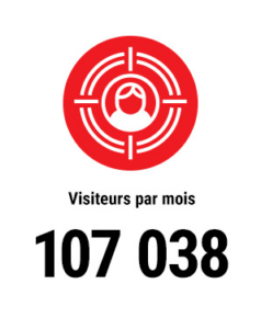 FR-IE-Monthly-visitors alternate text for this image